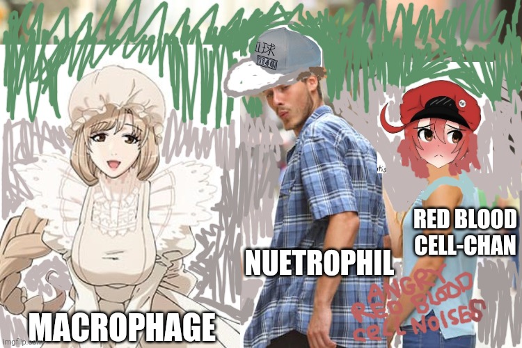 Cells at work Imgflip