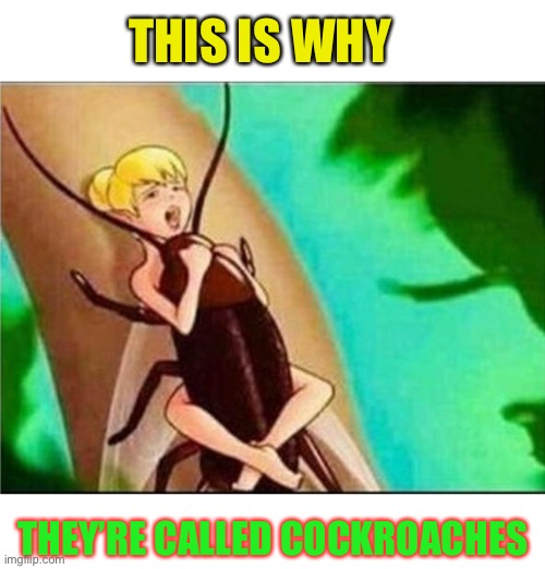 Disturbed Tom (IMPROVED) Imgflip