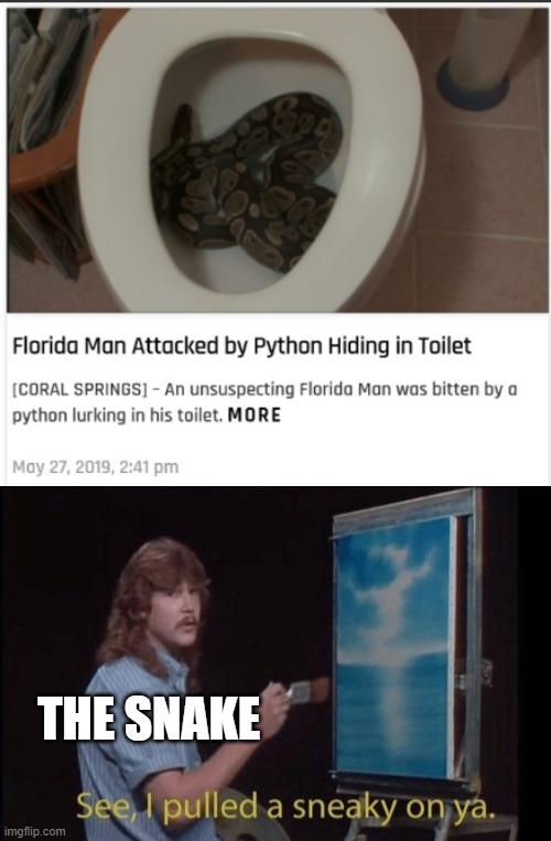 Image tagged in i pulled a sneaky Imgflip