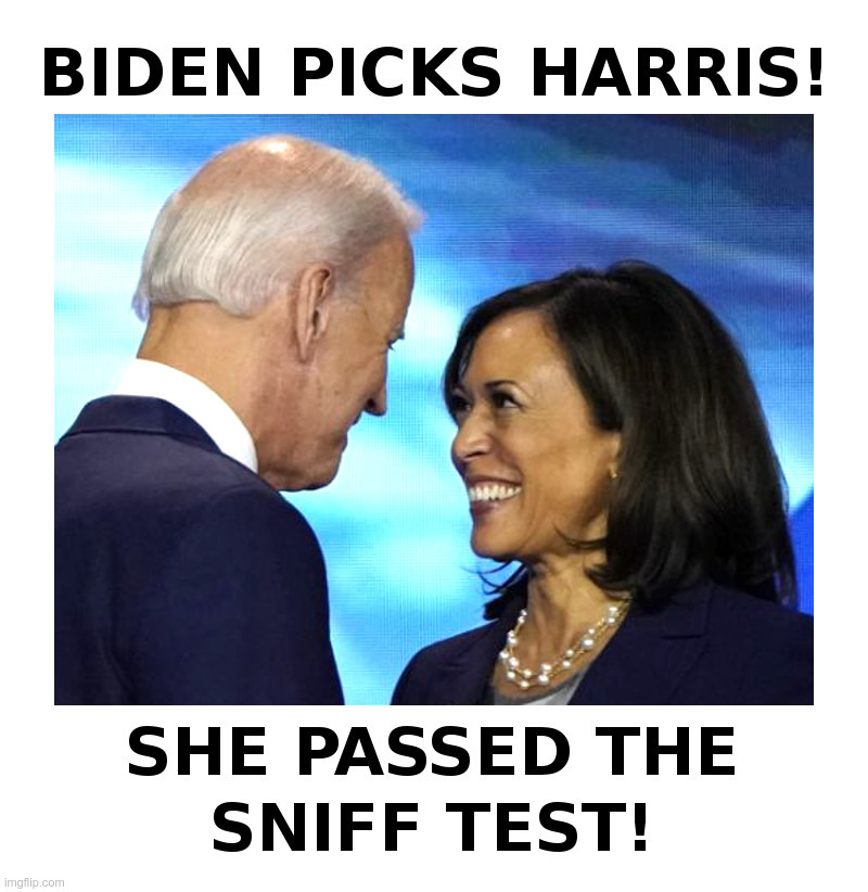 Biden Picks Harris! Imgflip