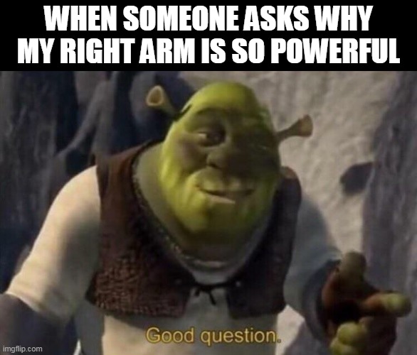 Shrek good question Imgflip