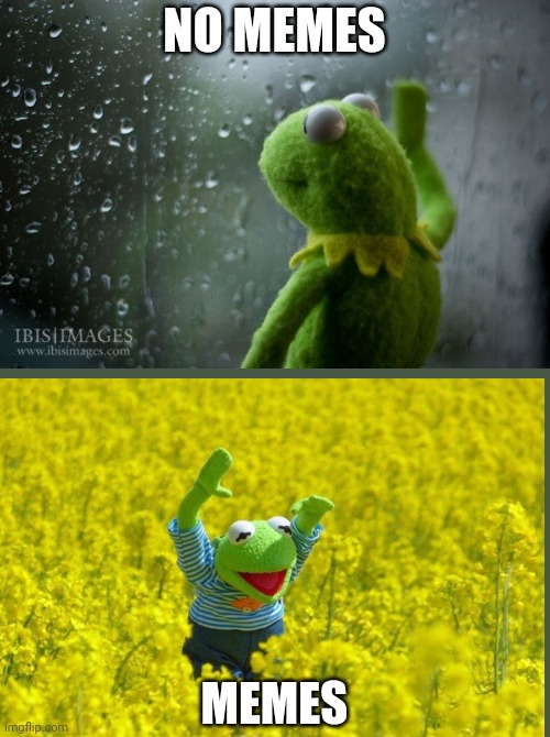 kermit window Imgflip
