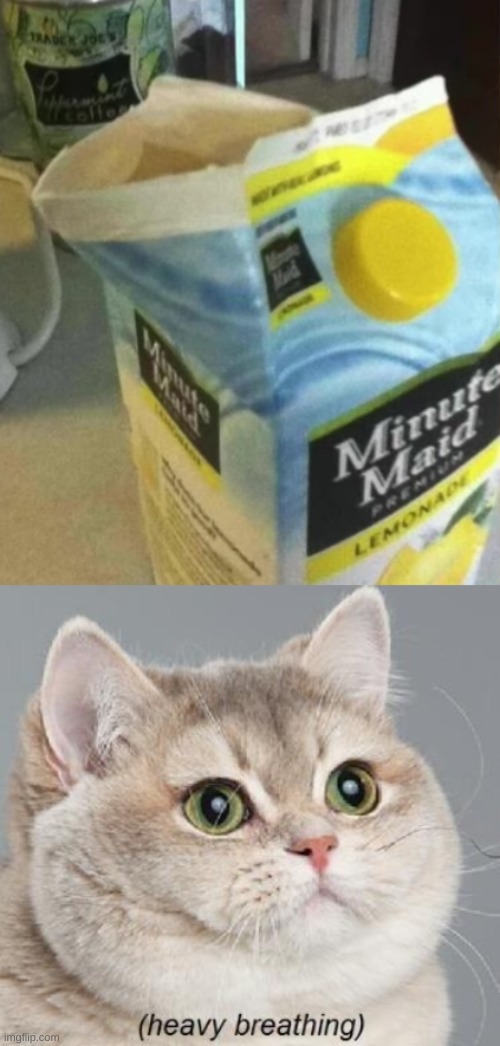 Image tagged in memes,heavy breathing cat Imgflip