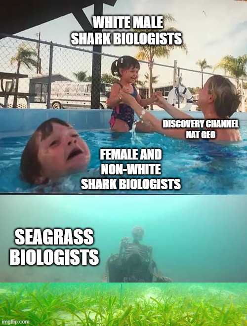 Drowning marine biologists Imgflip
