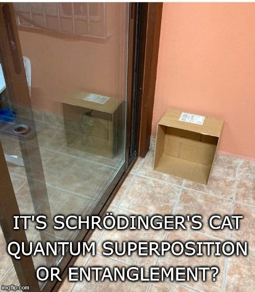 Schrodinger's Cat Imgflip