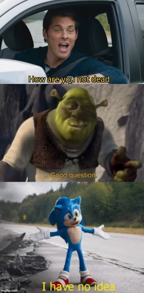 Image tagged in sonic i have no idea,good question i have no idea Imgflip