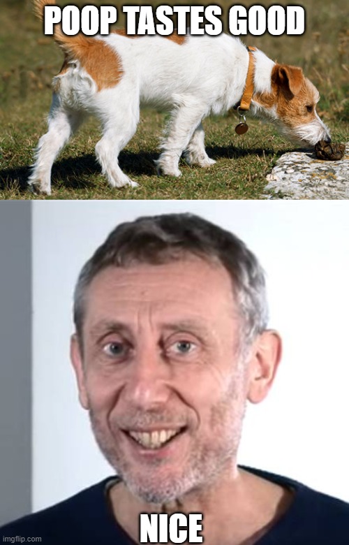 Does Poop Taste Good To Dogs