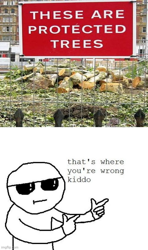 Those trees are torn down. Imgflip