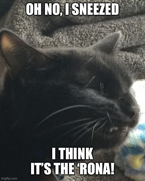 Oh no I sneezed, I think it’s the ‘Rona! Imgflip