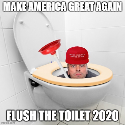 Flush The Toilet Meme
