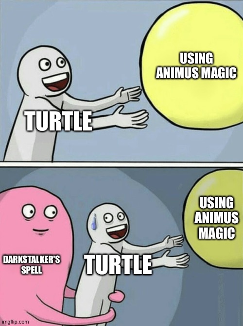 Turtle Imgflip