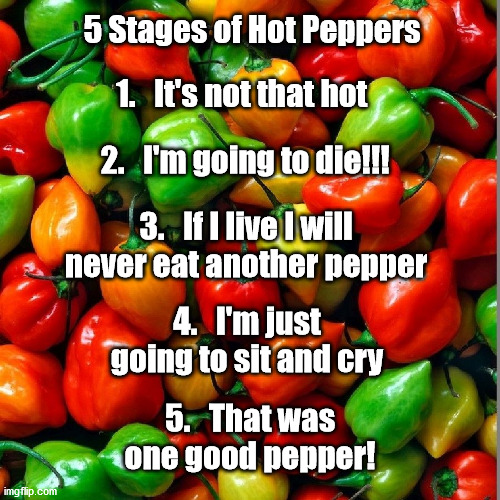 5 stages of hot peppers Imgflip