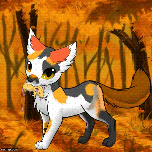 Animated Warrior Cat Gifs