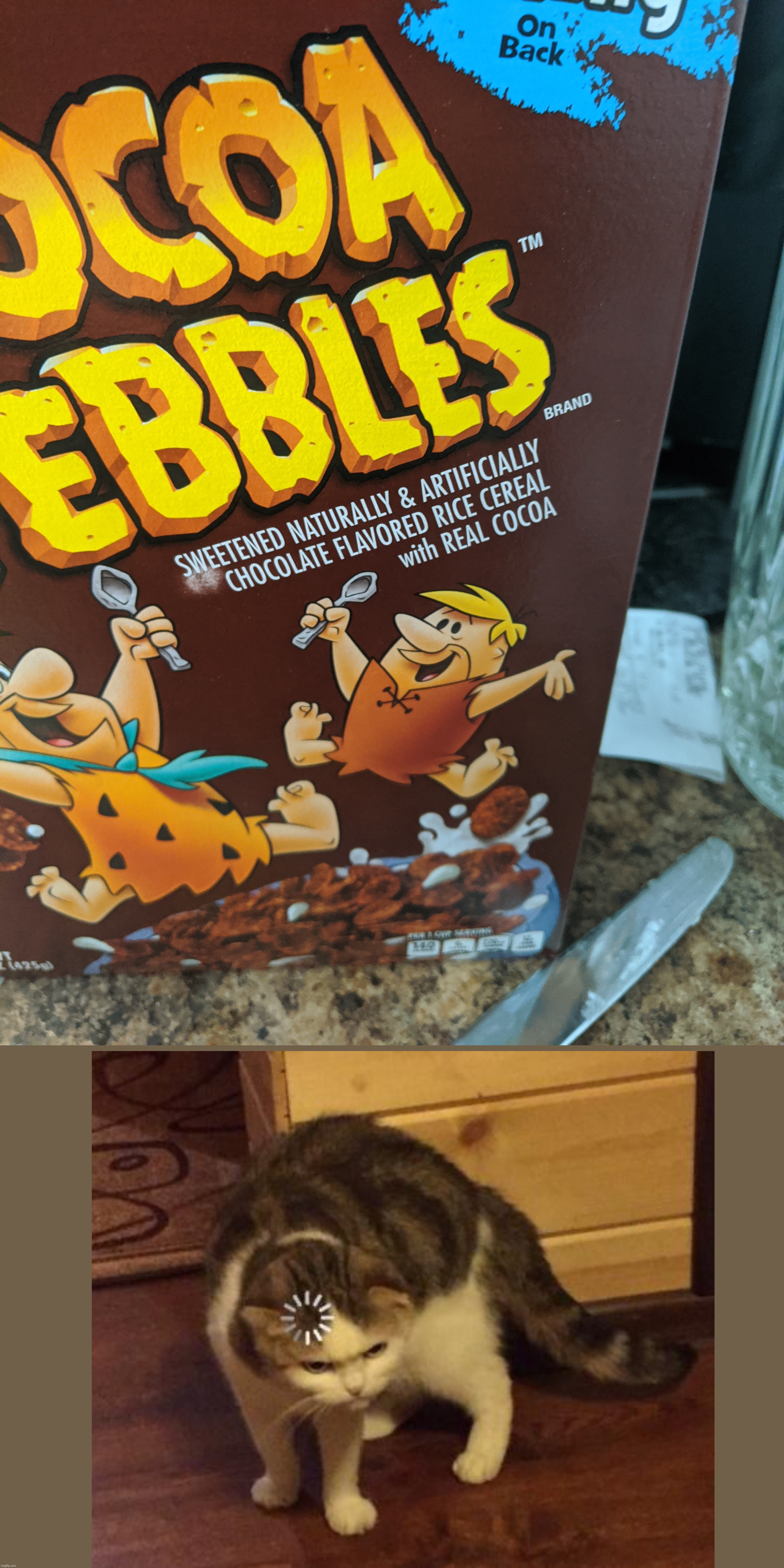 buffering cat Memes & GIFs Imgflip