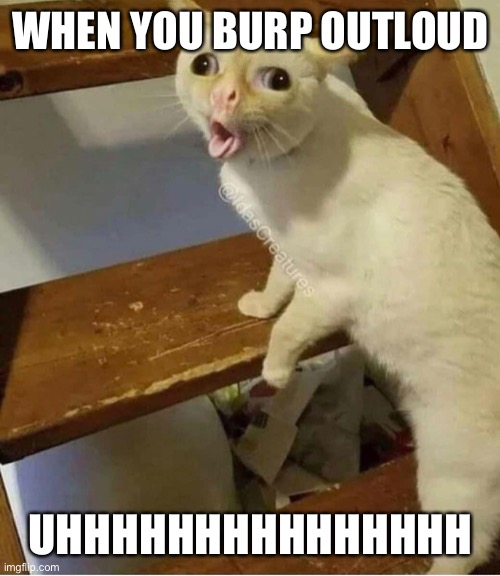 When u burp out loud Imgflip