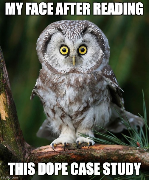 Owl Imgflip