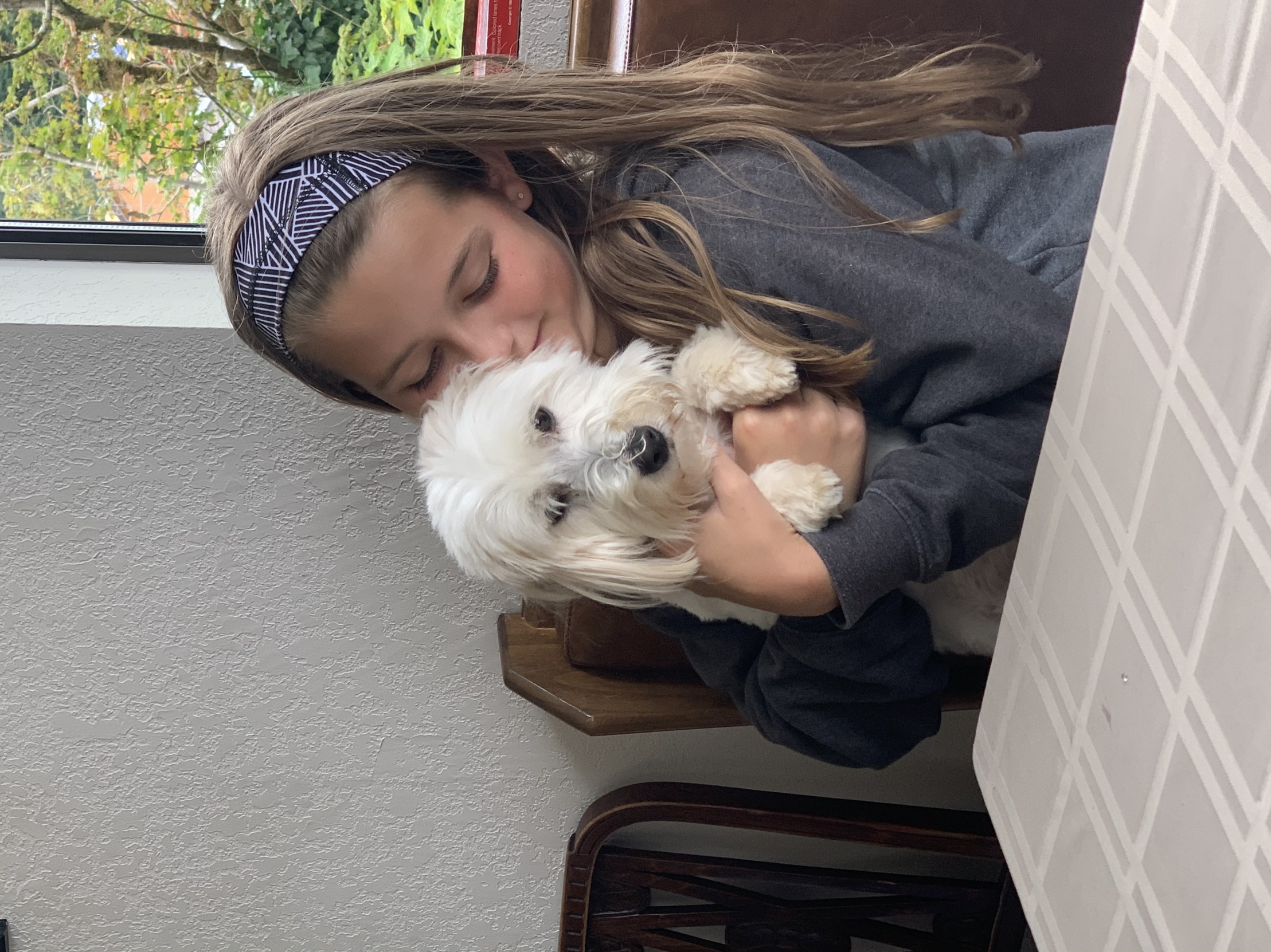 Dog karen Blank Template Imgflip