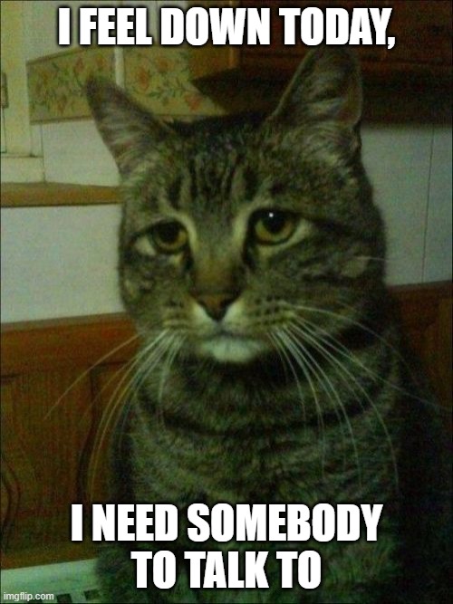 Depressed Cat Meme Imgflip