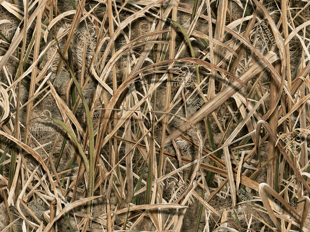 duck camo Blank Template Imgflip