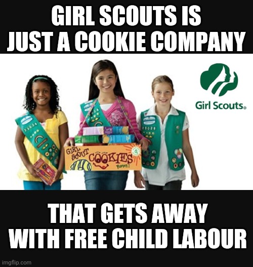 Girl Scouts Imgflip