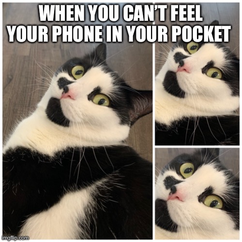 That Moment When You Can’t Feel Your Phone In Your Pocket Imgflip