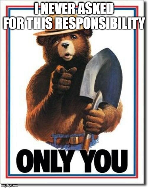 smokey the bear Imgflip