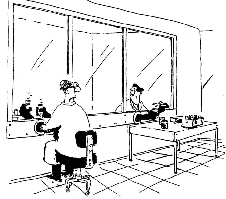Farside Lab Blank Template Imgflip