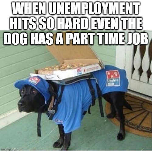 funny dogs Memes & GIFs Imgflip