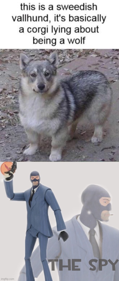 The names Bond Imgflip