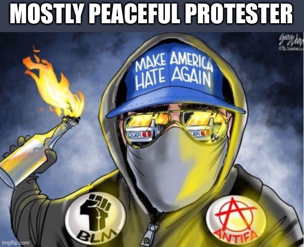 Mostly peaceful protester Imgflip