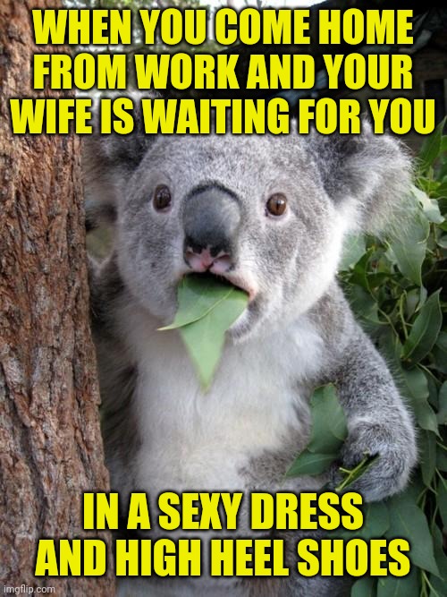 sexy wife Imgflip