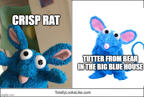 oh come on, they totally look like each other! Imgflip