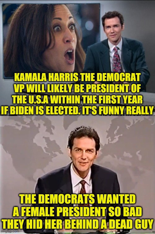Kamala Harris The Real Democrat Presidential Candidate Imgflip
