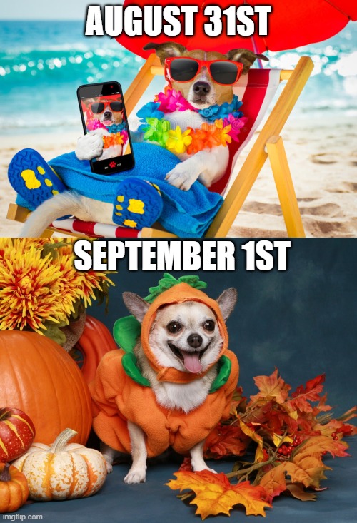 Autumn/Fall Memes Shayly's School Work