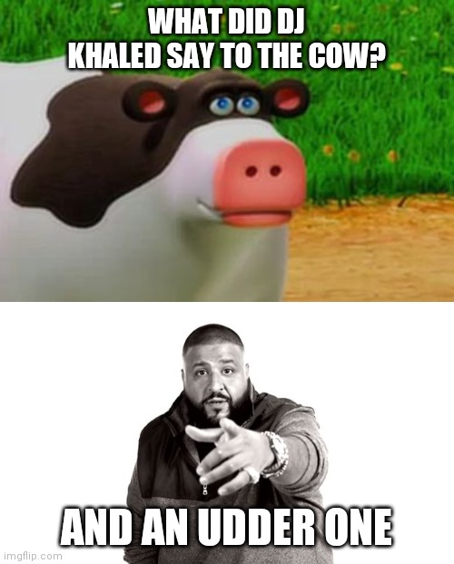 Image tagged in dj khaled another one,otis the perhaps cow Imgflip