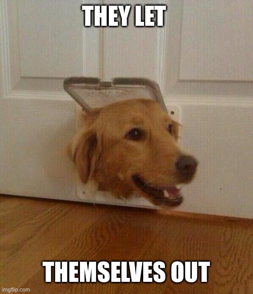 Albums 94+ Pictures Why Does My Dog Sit By The Bathroom Door Completed