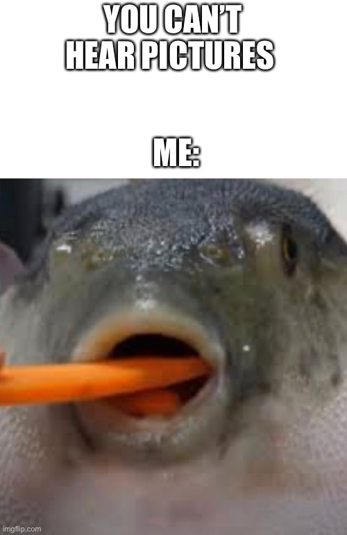 Pufferfish eating a carrot meme Imgflip