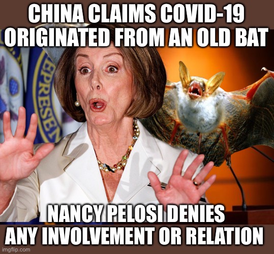 politics bats Memes & GIFs Imgflip