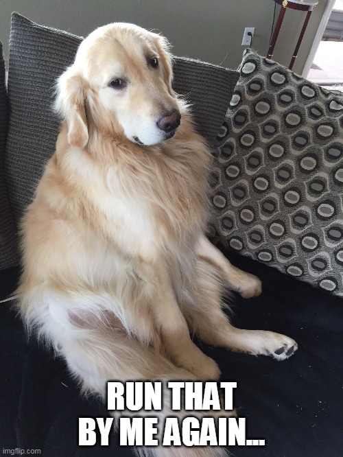 Skeptical doggo is Skeptical Imgflip
