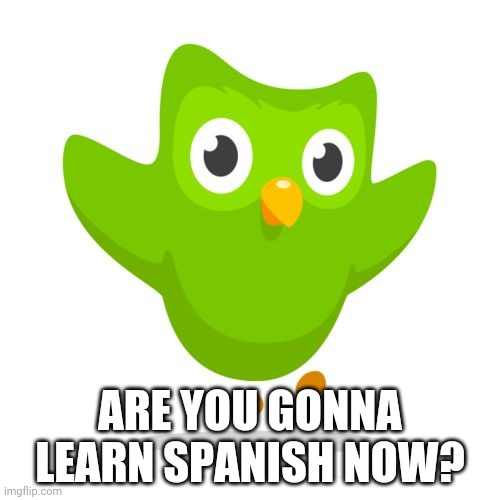 things duolingo teaches you Imgflip