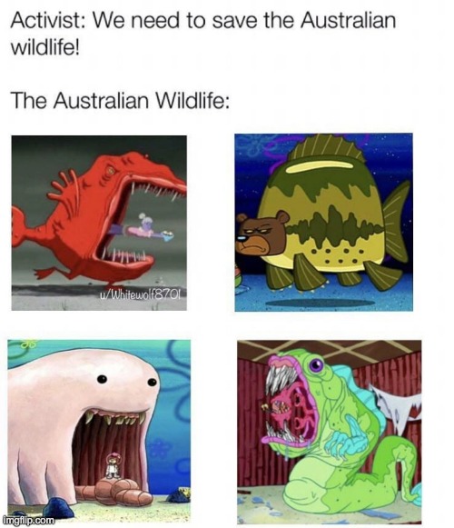 Australia isn't so bad we've only seen 2 of these in my lifetime Imgflip