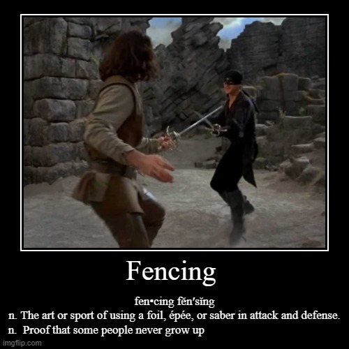 25 Fencing Memes to Make You Smile Today Academy of Fencing Masters