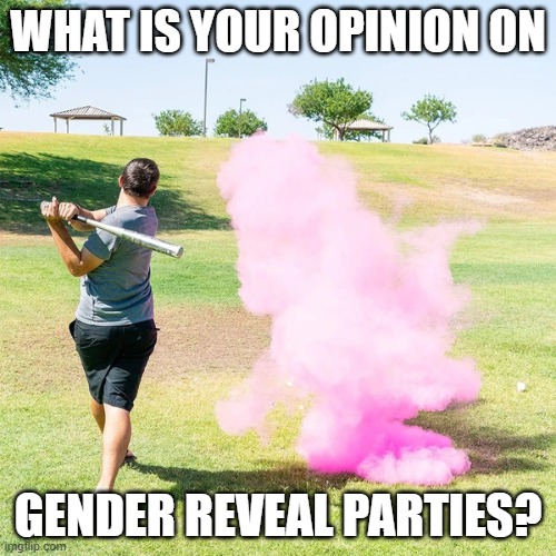 Gender reveal parties Imgflip