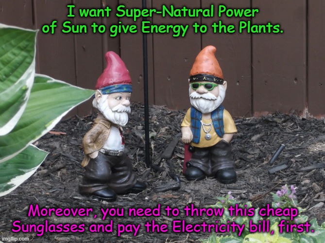 Garden Gnomes, talking about Reality. Imgflip