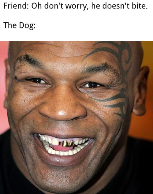 Image tagged in tyson Imgflip