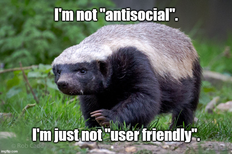antisocial honey badger Imgflip