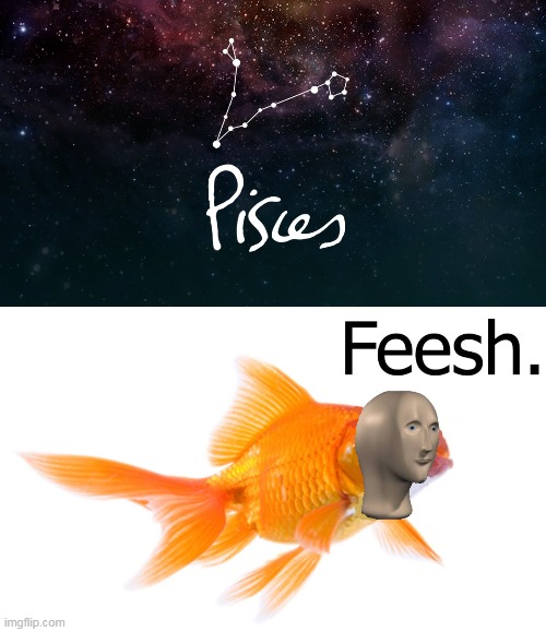 Zodiac Meme Man Imgflip