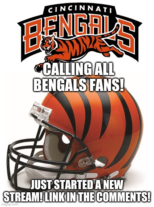 Bengals Memes Imgflip