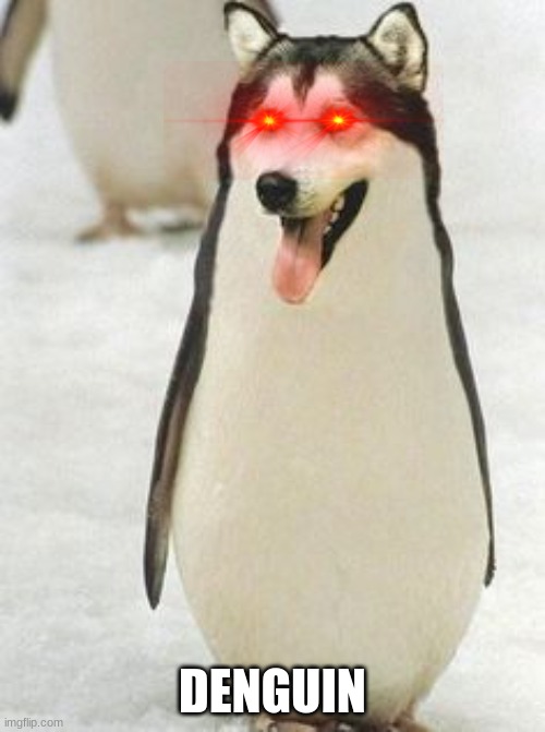 penguin Memes & GIFs Imgflip