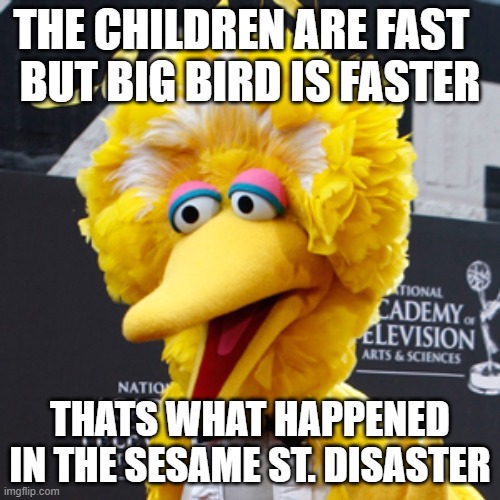 Big Bird Meme Imgflip
